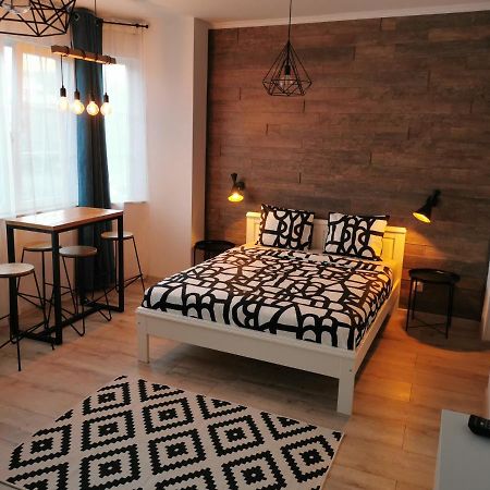 Central Park Studio Petroşani Εξωτερικό φωτογραφία