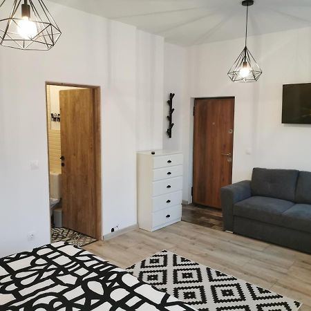 Central Park Studio Petroşani Εξωτερικό φωτογραφία