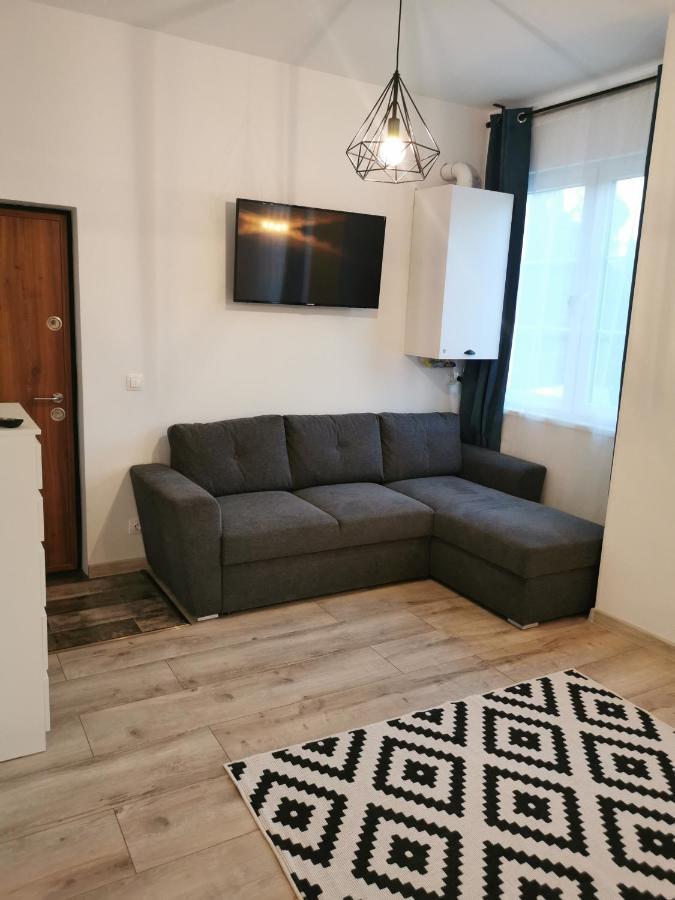 Central Park Studio Petroşani Εξωτερικό φωτογραφία