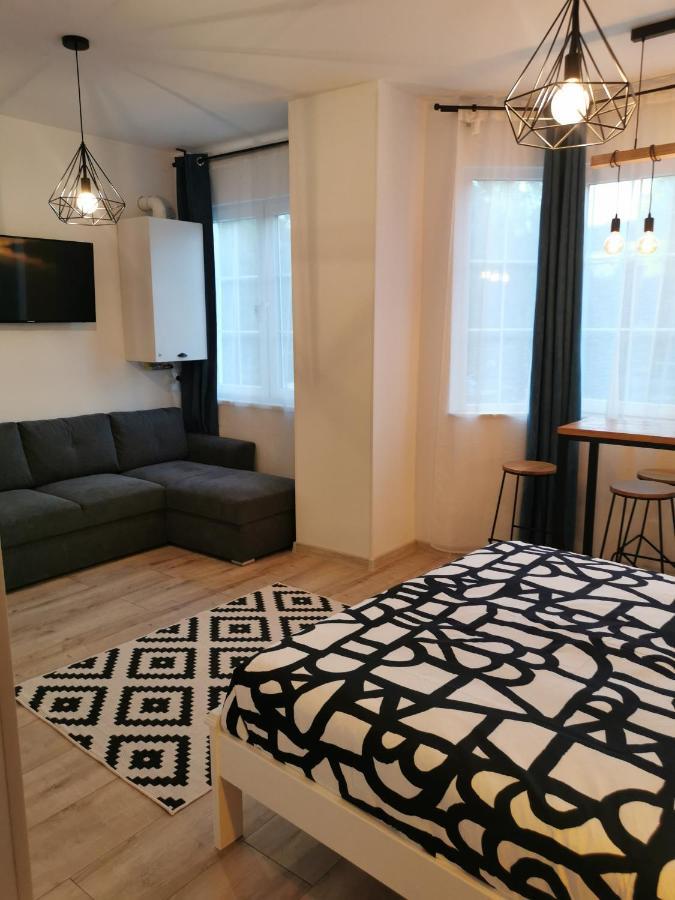 Central Park Studio Petroşani Εξωτερικό φωτογραφία