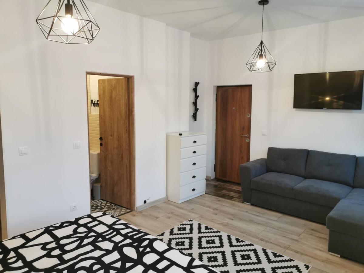 Central Park Studio Petroşani Εξωτερικό φωτογραφία